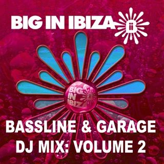 Bassline & Garage: DJ Mix, Vol. 2