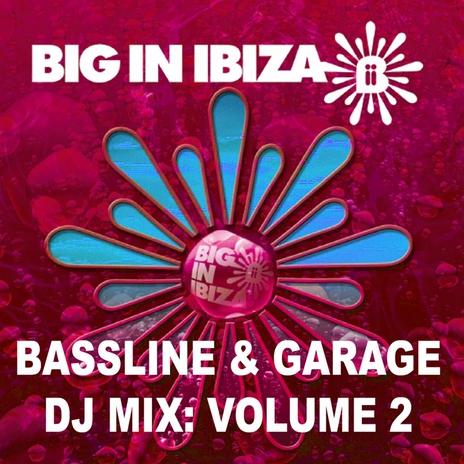 Bassline & Garage: DJ Mix Vol 2 (Continuous DJ Mix)