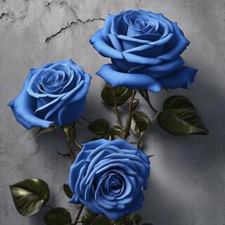 Blue Roses