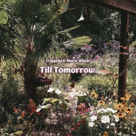 Till Tomorrow ft. Criggedy | Boomplay Music