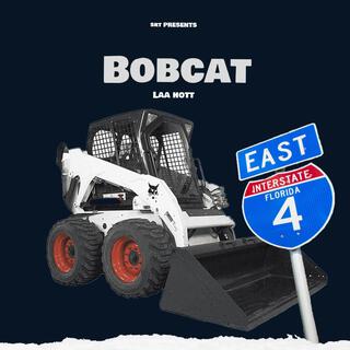 Bobcat