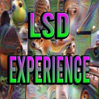 LSD EXPERIENCE