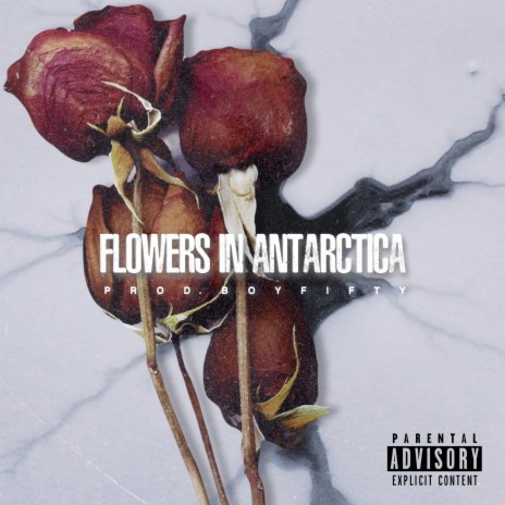 Flowers In Antarctica | Boomplay Music
