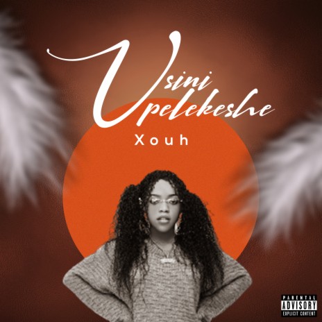 Usinipelekeshe | Boomplay Music