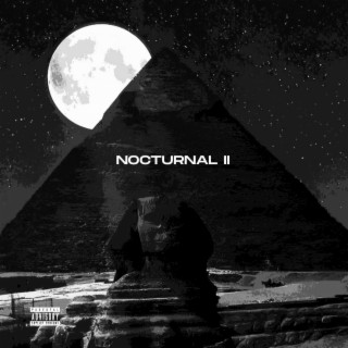 Nocturnal II