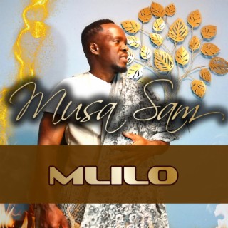 Musa Sam