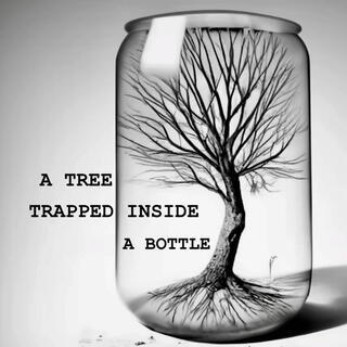 A Tree Trapped Inside A Bottle