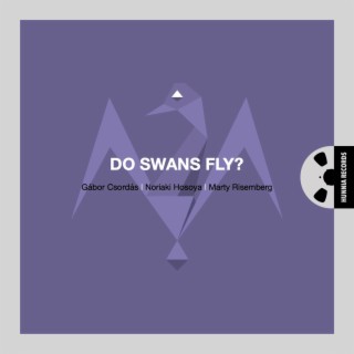 Do Swans Fly?