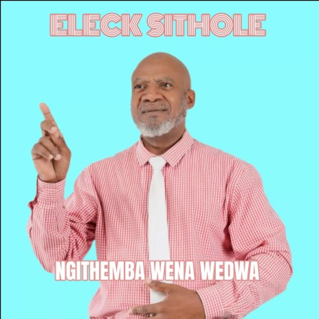 Ngithemba Wena Wedwa | Boomplay Music