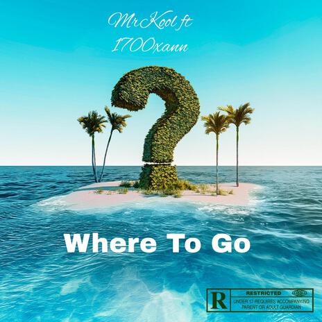 Where To Go ft MrKool | Boomplay Music