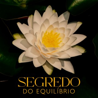 Segredo do Equilíbrio: Música Calmante para Meditação, Zen-yoga, Consciência Noturna, Sons da Natureza