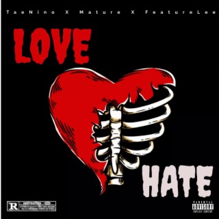 Love Hate