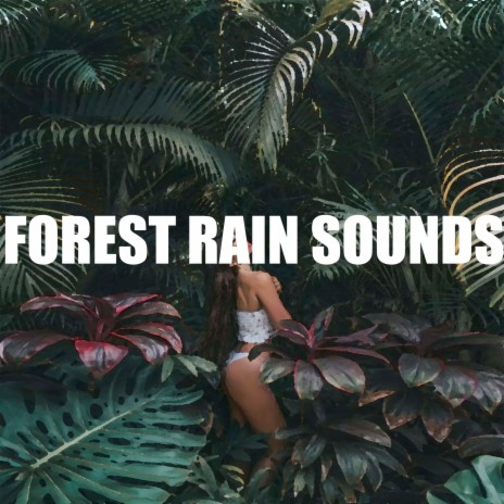 Forest Rain Sounds | Boomplay Music