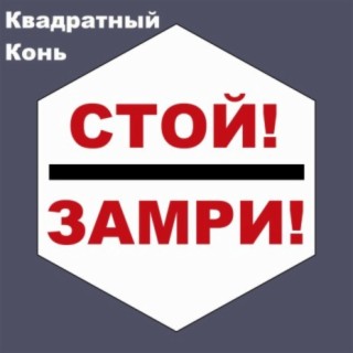 Стой! Замри!