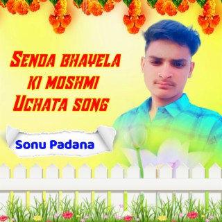 Senda Bhayela Ki Moshmi Uchata Song