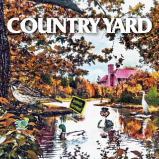 COUNTRY YARD