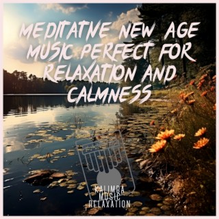 Meditative New Age Music Perfect for Relaxation and Calmness