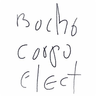 Boche Corpoelect