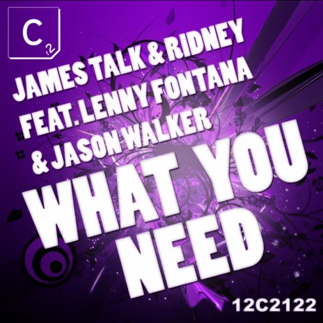 What You Need ft. Ridney, Lenny Fontana & Jason Walker | Boomplay Music