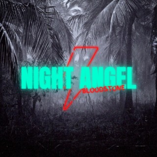 Night Angel