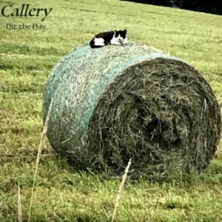 Hit the Hay