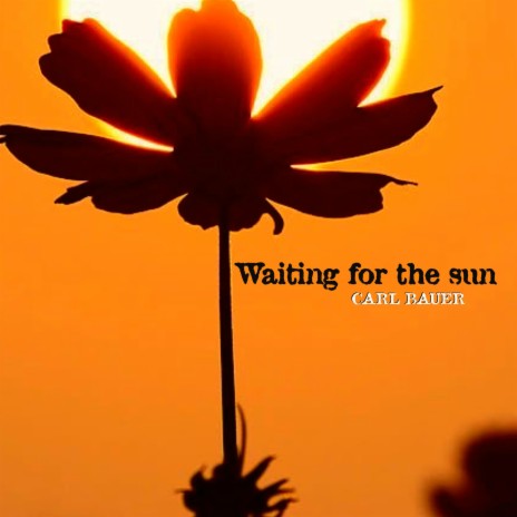 Waiting for the Sun | Boomplay Music