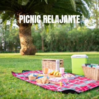 Picnic Relajante