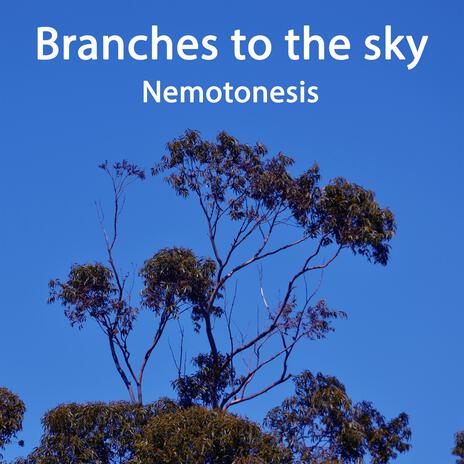 Branches to the sky | Boomplay Music