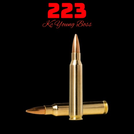 223 | Boomplay Music