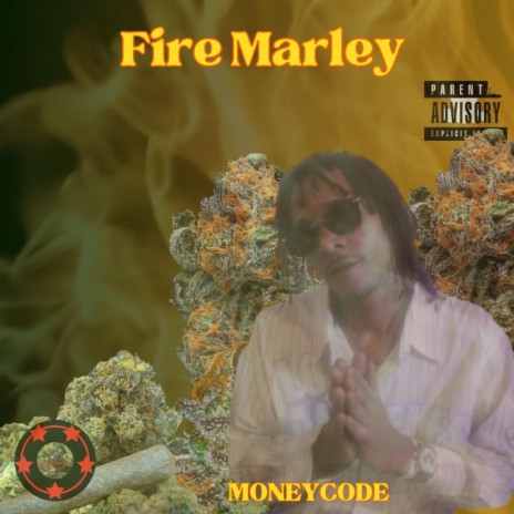 Fire Marley #reggae #bobmarley #marijuana #moneycode