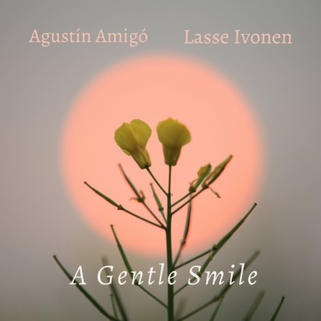 A Gentle Smile ft. Lasse Ivonen | Boomplay Music