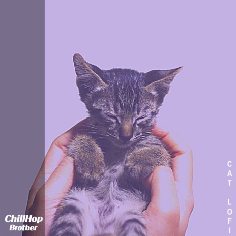 cat lofi | Boomplay Music