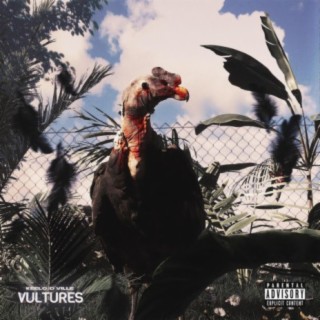 Vultures lyrics | Boomplay Music