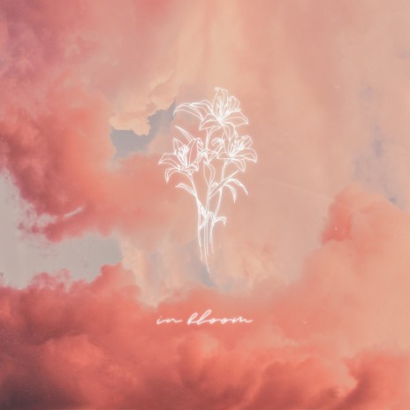 In Bloom ft. sftspkn | Boomplay Music