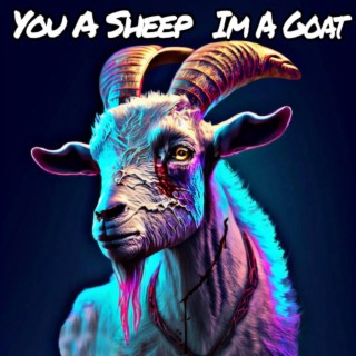 You A Sheep, Im A Goat