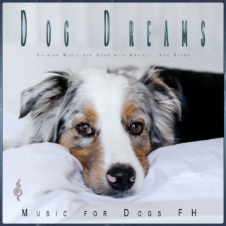 Dog Dreams: Calming Music for Dogs with Anxiety, Dog Sleep