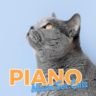 Soothing Cat Therapy Piano Music