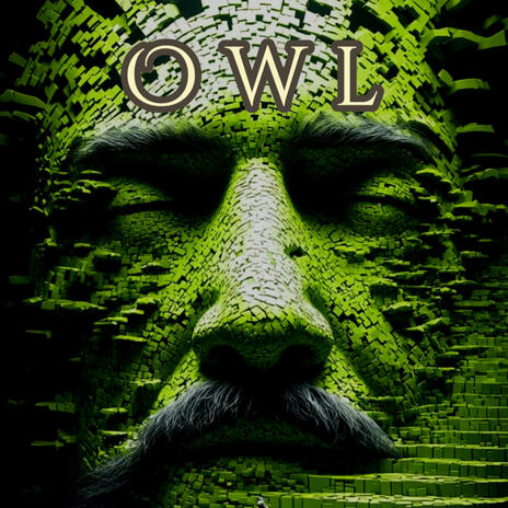 Owl | Boomplay Music