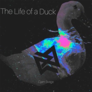 The Life of a Duck