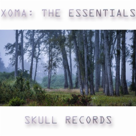 Rainfall (Original Mix) ft. XOMA | Boomplay Music