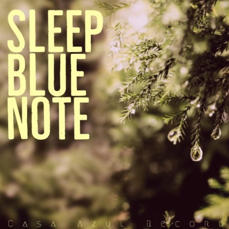 Deep Sleep in the Rain I ft. Lofi Blue Note | Boomplay Music