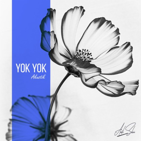 Yok Yok (Akustik) | Boomplay Music