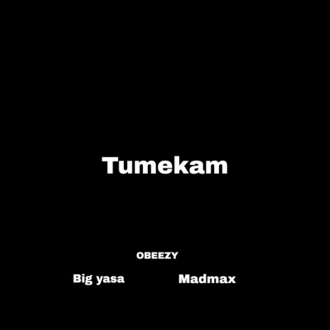 Tumekam ft. OBEEZY & Madmax