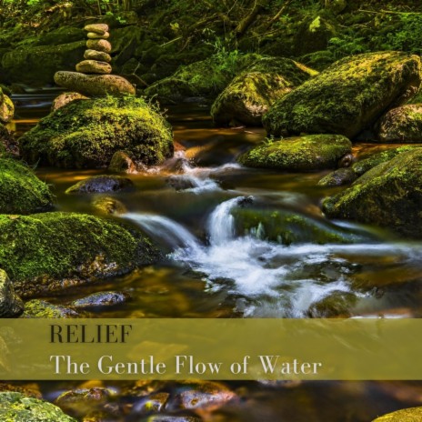 The Gentle Flow of Water | Boomplay Music