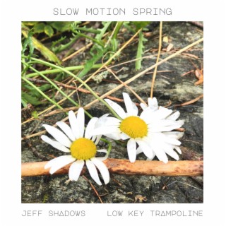 Slow Motion Spring