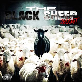 The Black Sheep