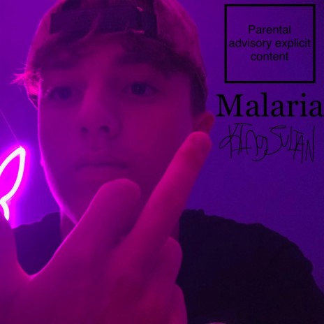 Malaria | Boomplay Music