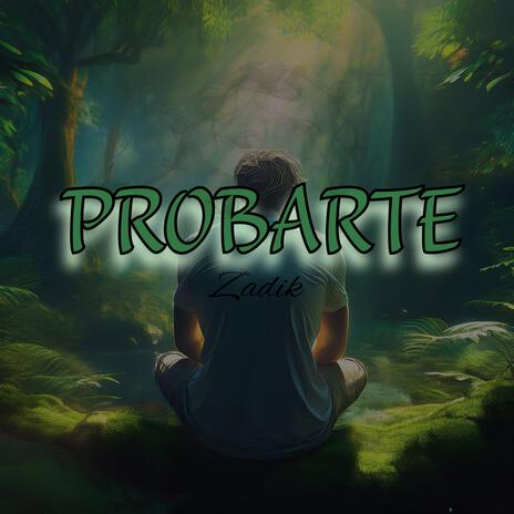 Probarte | Boomplay Music