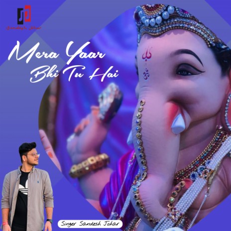 Mera Yaar Bhi Tu Hai | Boomplay Music