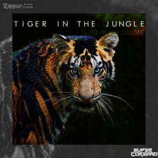 Tiger in the jungle lyrics | Boomplay Music